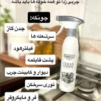 محصولات نانو برای یه خونه تکونی|مواد شوینده و دستمال کاغذی|یزد, |دیوار