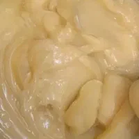 روغن حیوانی