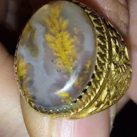 فروش ۲ عدد انگشتر نقره عتیقه کمیاب سنگ شجر تک درخت|جواهرات|شیراز, بعثت|دیوار