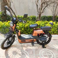 دوچرخه برقی در حد