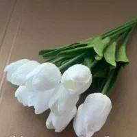 پخش انواع گل طبیعی و مصنوعی به قیمت عمده نقد و چکی|گل مصنوعی|ماکو, |دیوار