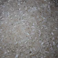 برنج|خوردنی و آشامیدنی|گلی داغ, |دیوار