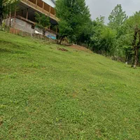 کلبه باتراس 50متری دل جنگل جاده ییلاق اولسبلنگاه|اجارهٔ کوتاه‌مدت ویلا و باغ|ماسال, |دیوار