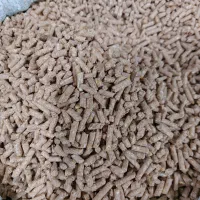 خرید و فروش خوراک دام و طیور کنسانتره .ذرت دان مرغ