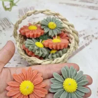 گل بابونه شمعی فقط ۷۰۰۰