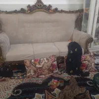 مبل سلطنتی سالم به دلیل جاذبه جای به فروش میرسد