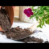 گلدان تقویت خاک جهت گل مناسب برای باغچه ای کود رشد|خدمات باغبانی و درختکاری|تهران, نیاوران|دیوار