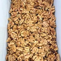 استخدام نیرو اقا یا خانم