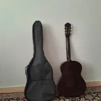 گیتار نونو واصل دایموند