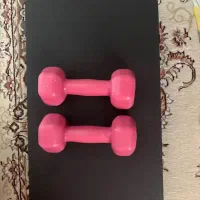 دمبل و استپ