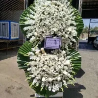 فروش تاج گل تبریک تسلیت نمایشگاه افتتاحیه|خدمات پذیرایی، مراسم|تهران, سعادتآباد|دیوار