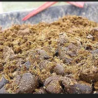 کود اسب مخصوص کشاورزی هست