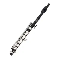 فلوت پیکولو SLADE|سازهای بادی|تهران, تهراننو|دیوار