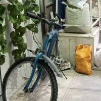 لوازم منزل|فرش|کرج, اسلامآباد|دیوار