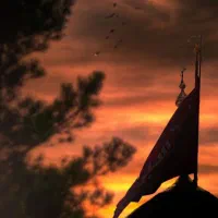 مداح روضه خوانی و ادعیه خوانی