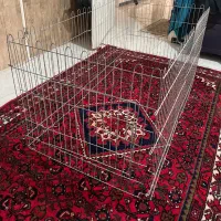 قفس سگ