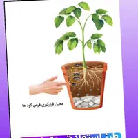 فروش قرص کود  ارگانیک با صرفه وبا نازلترین قیمت|خدمات باغبانی و درختکاری|صفادشت, |دیوار