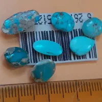 ۷عدد نگین فیروزه شجر اصل نیشابور|جواهرات|خمین, |دیوار