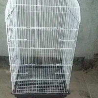 قفس شش در