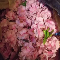 گل مصنوعی شکوفه گیلاس - ۳۰۰ شاخه با قیمت عالی|گل مصنوعی|مشهد, آبکوه|دیوار
