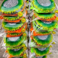 استخدام نیروی خانم