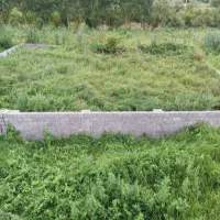 رامسرزمین-252متری-بلوار-طالقانی-و-لیدو