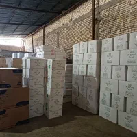 لیوان کاغذی فروش فقط کارتنی|ظروف نگهدارنده، پلاستیکی، یک‌بارمصرف|اهواز, شریعتی جنوبی|دیوار