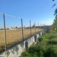 فنس وپایه|خدمات باغبانی و درختکاری|قائم‌شهر, |دیوار