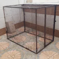 کبوتر تور|لوازم جانبی حیوانات|تاکستان, |دیوار