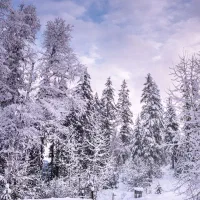 راهنمایی کسب و کار