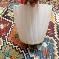 گلدون|گل و گیاه طبیعی|مشهد, نوید|دیوار