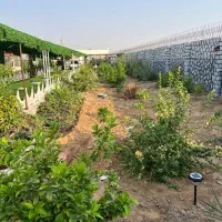 فروش باغ ۱۷۰۰ متری گورک|فروش دفتر صنعتی، کشاورزی، تجاری|بوشهر, |دیوار