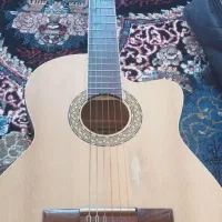 گیتار پیکاپ دار