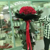 انواع دسته گل رز ، رز هلندی فقط شاخه ای 20تومان|گل و گیاه طبیعی|مشهد, هنرور|دیوار