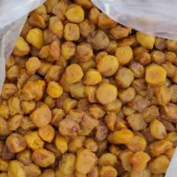 آلو|خوردنی و آشامیدنی|نیشابور, باغرود|دیوار