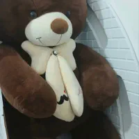 خرس‌شاسخین قهوه ای رنگ
