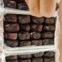 خرمارطب بم|خوردنی و آشامیدنی|بم, |دیوار