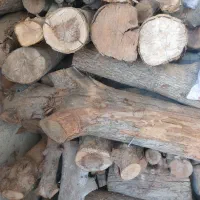 هیزم درخت سیب خشک خشک|مصالح و تجهیزات ساختمان|اهر, |دیوار