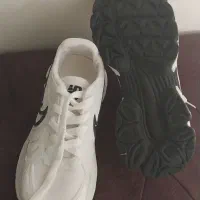 کتونی|کیف، کفش، کمربند|رودهن, |دیوار