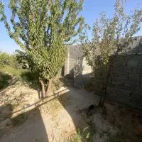 ۲۲۰ متر چهار دیوار با درخت ۱۰ ساله|فروش دفتر صنعتی، کشاورزی، تجاری|بهارستان, |دیوار