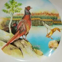 حراج فریزر فیلور سرویس چینی 9و7پارچه وتلفن نو|حراج|برخوار, |دیوار