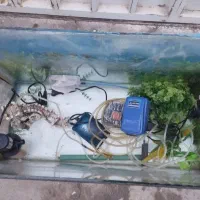 آکواریوم شرکتی و بزرگ|ماهی|دشتابی, |دیوار