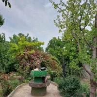 باغ ویلا.نوبهار|اجارهٔ کوتاه‌مدت ویلا و باغ|گلبهار, نوبهار|دیوار