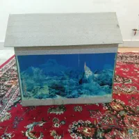 اکواریوم
