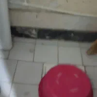 تولیدی ،کارگاه ،دفترکار 65متر|اجارهٔ آپارتمان|تهران, کیانشهر|دیوار