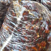 خرما گنطار درجه یک|خوردنی و آشامیدنی|اهواز, ۳۰ متری|دیوار