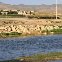 زمین مسکونی واقع در منطقه ویلایی رودخانه پلاسجان