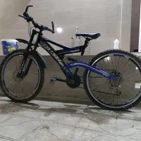 دوچرخه حرفه ای