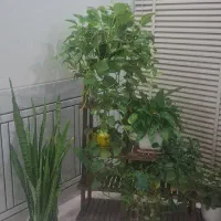 اجاره منزل مسکونی در روستای بندارت