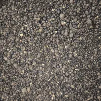 کودسفیدرازی